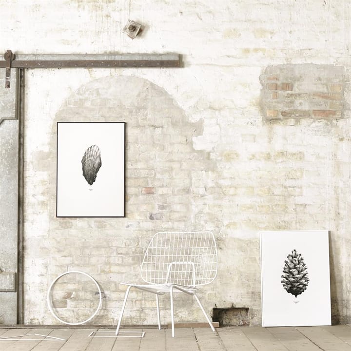 1:1 Pine Cone poster - hvit, 50x70 cm - Paper Collective