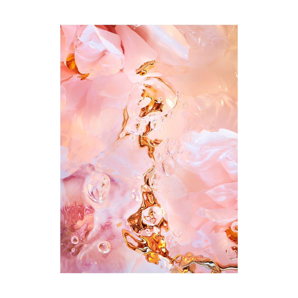 Paper Collective Flora Aquatica 02 poster 30x40 cm
