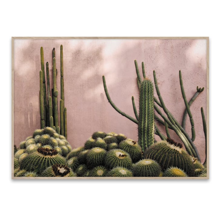 Plants on Pink poster - 70x50 cm - Paper Collective