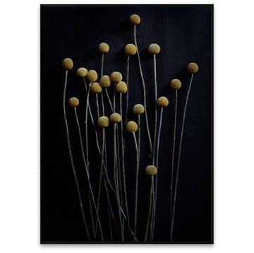 Stil Life 01 Yellow Drumsticks poster - 50x70 cm - Paper Collective