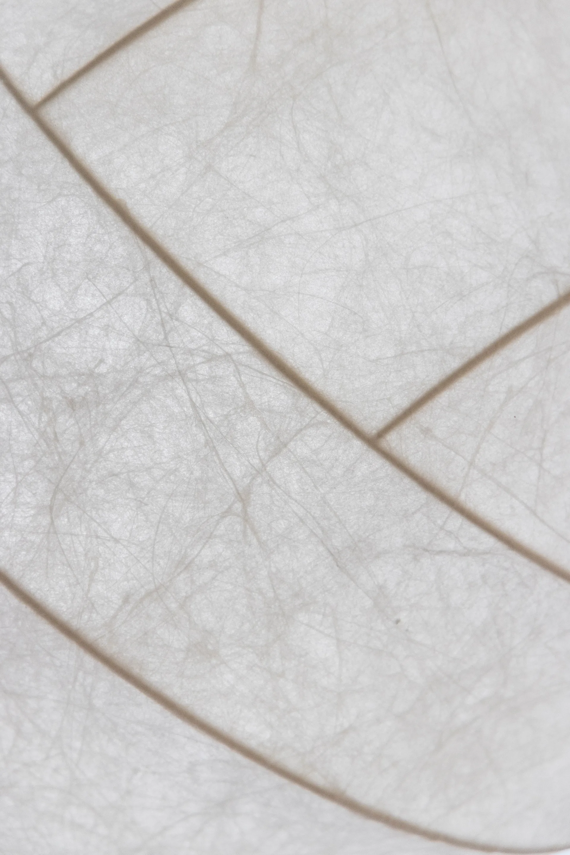 Turner 80 pendel, Hvit Pholc