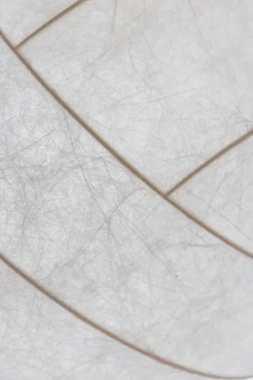 Turner 80 pendel - Hvit - Pholc