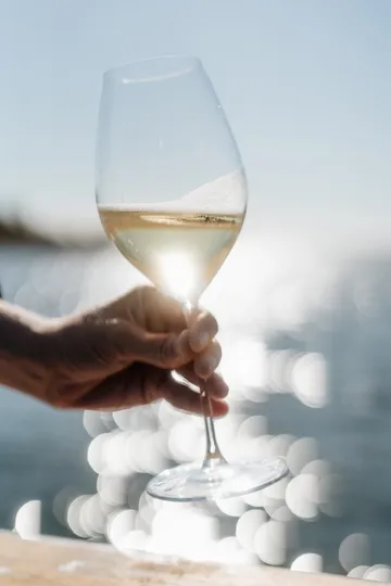 Veritas champagneglass 45,9 cl - 270-årsjubileum, 2-pakning - Riedel