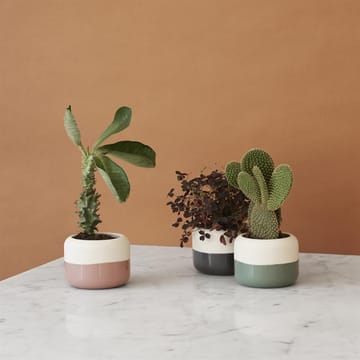 Plant-It urtepotte Ø8.5 cm - grå - RIG-TIG