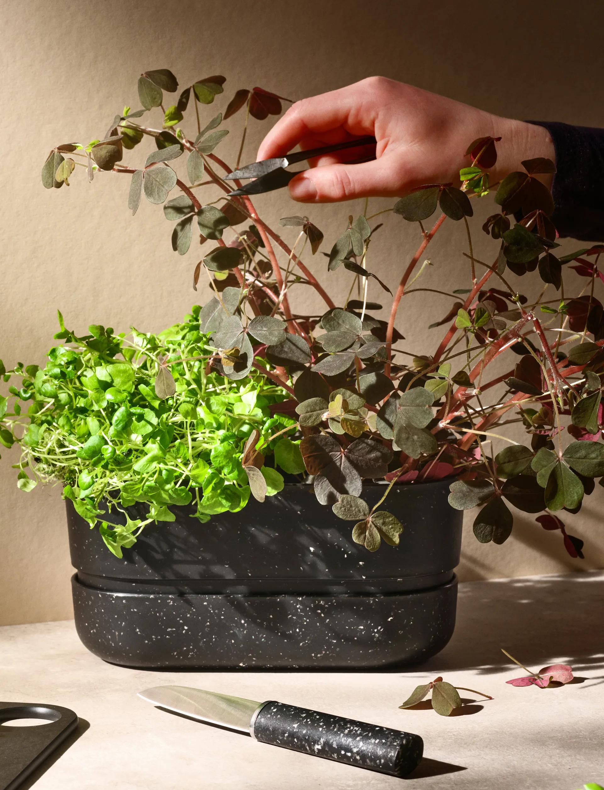 POT-IT urtepotte 22,2 cm, Black RIG-TIG