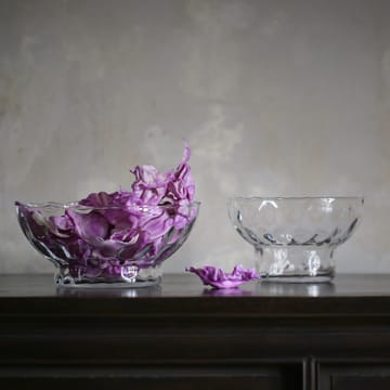 Glass bowl no. 50 - Clear dots - Ro Collection
