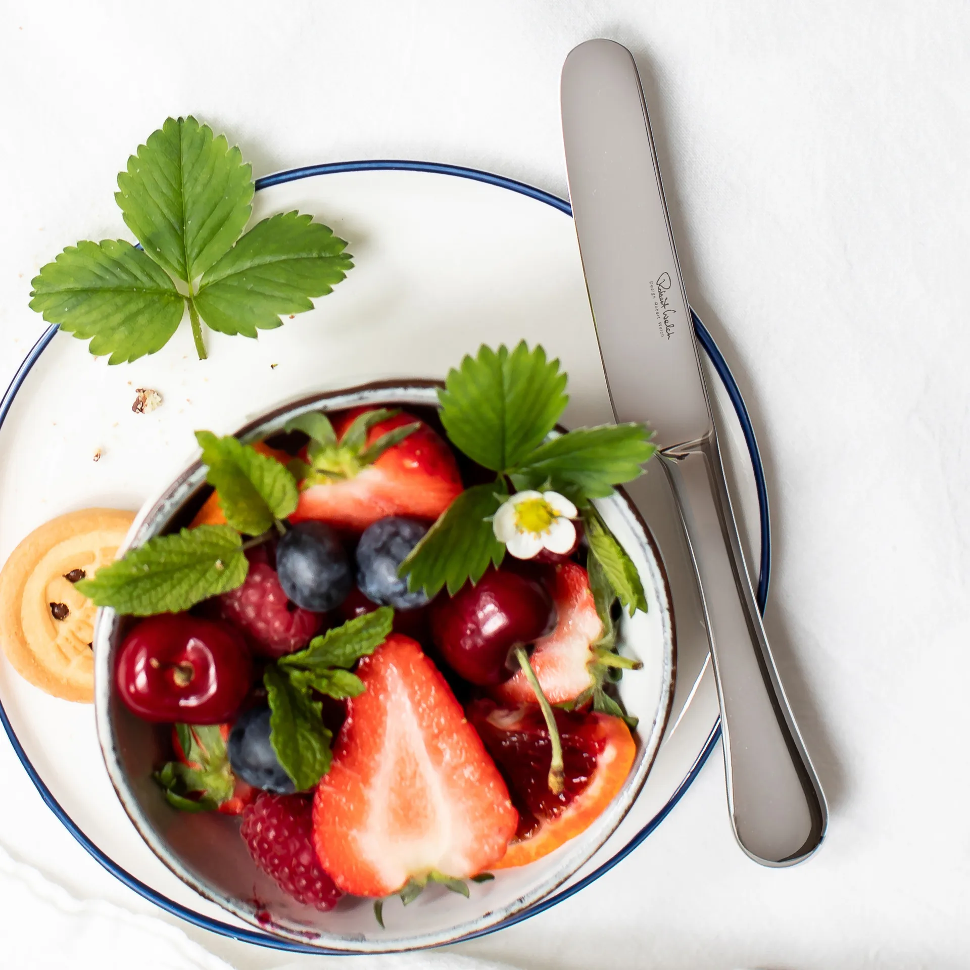 Radford barnekniv blank, Rustfritt stål Robert Welch