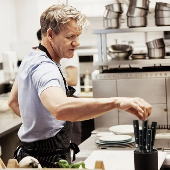 Gordon Ramsey knivblokk, 5 deler Royal Doulton