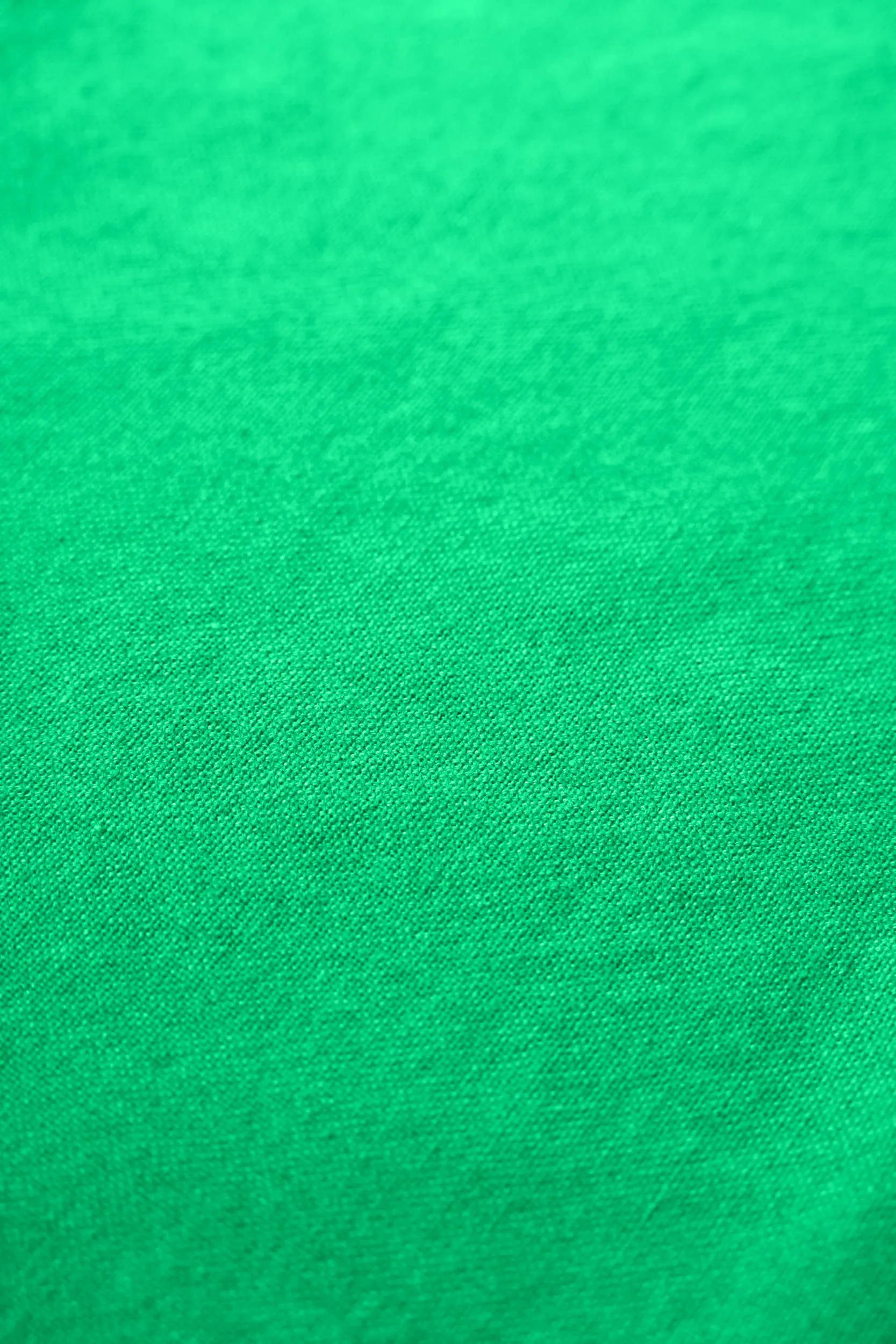 Rug Solid kjøkkenhåndkle 50 x 70 cm, Racing green Rug Solid