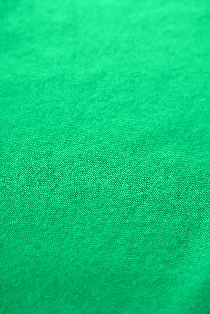 Rug Solid kjøkkenhåndkle 50 x 70 cm, Racing green Rug Solid