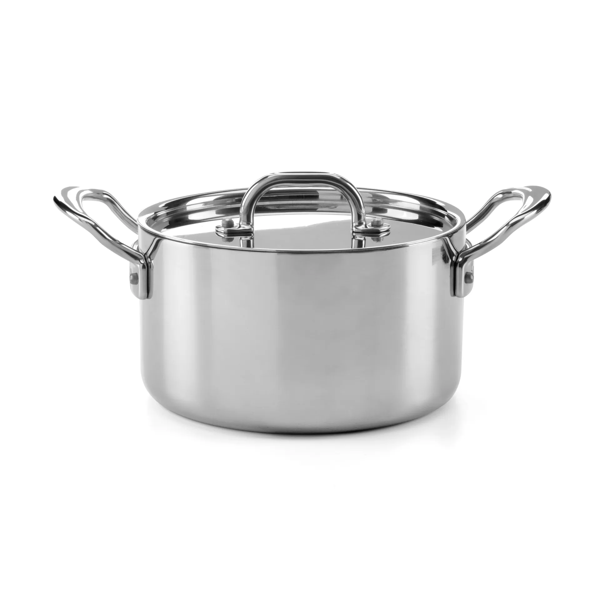 Samuel Groves gryte med lokk rustfritt stål, 5 L Samuel Groves