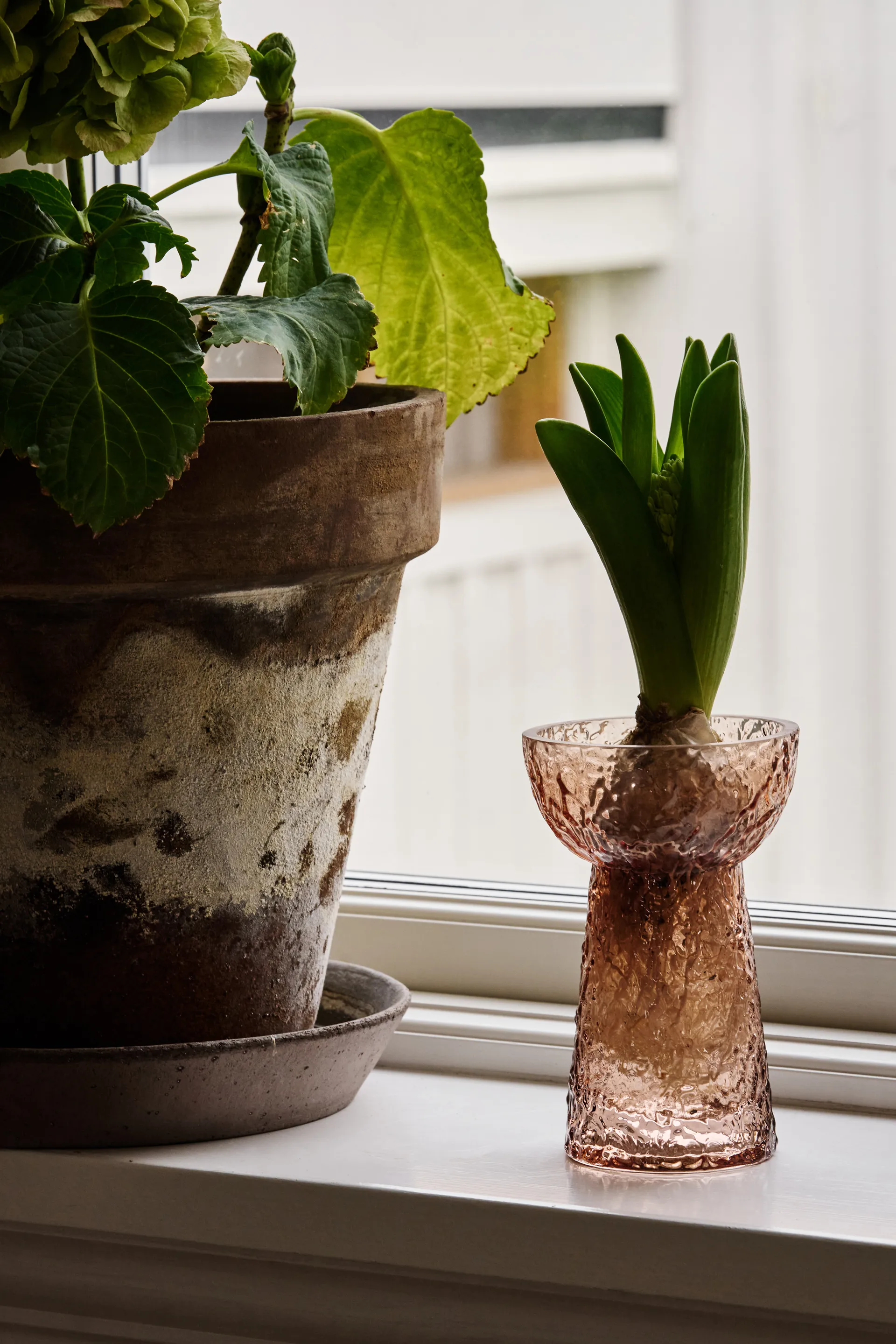 Flor hyasintvase, Brun Scandi Living