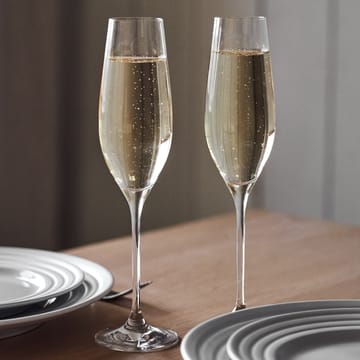 Karlevi champagneglass 4 stk. - 21 cl - Scandi Living