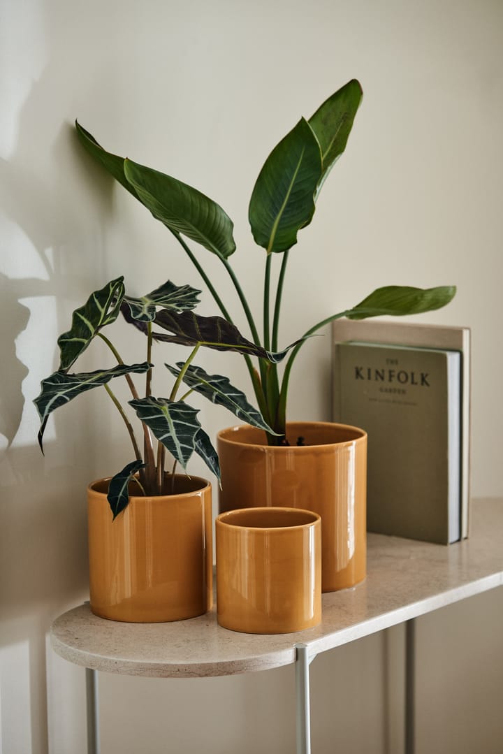 Sleek krukke Ø 12 cm - Mustard - Scandi Living