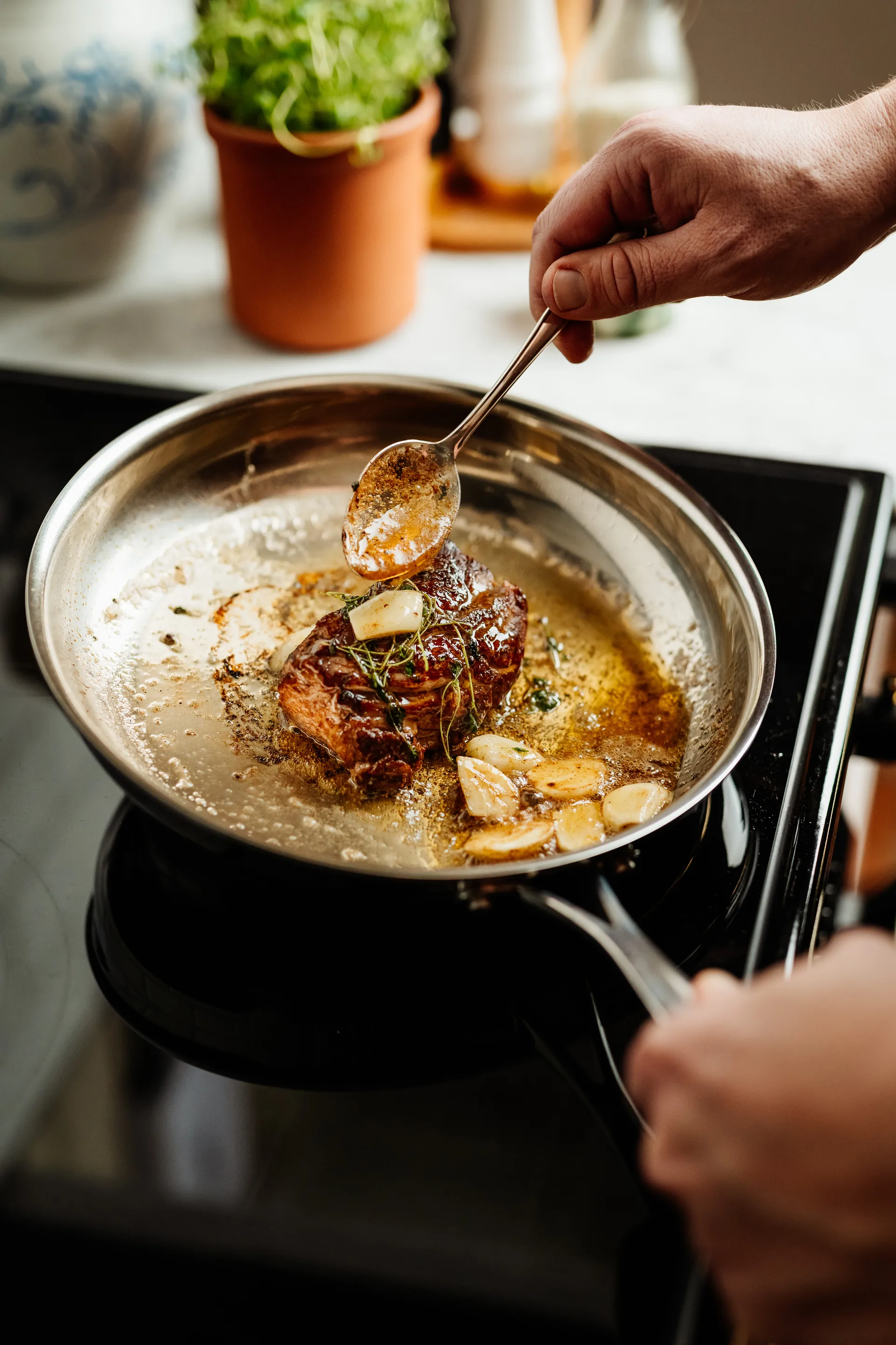 Scanpan Fusion 5 stekepanne, Ø26 cm Scanpan