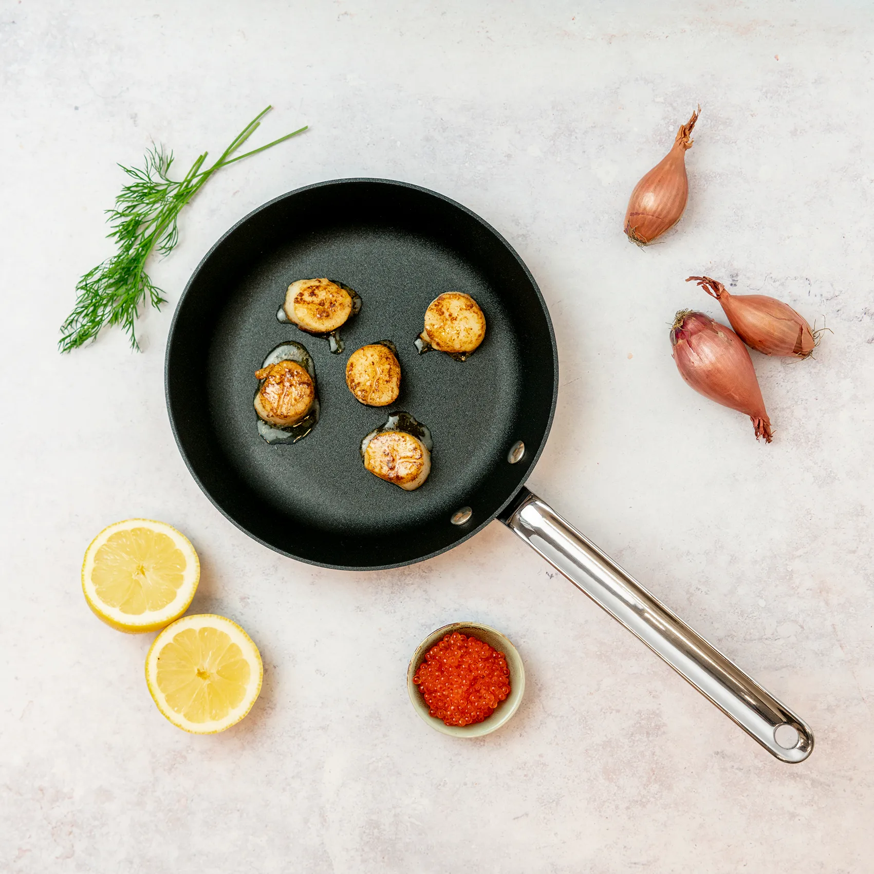 Scanpan TechnIQ stekepanne, Ø 22 cm Scanpan