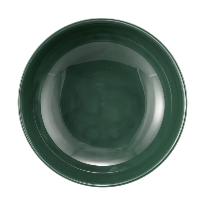 Terra skål Ø 17,7 cm 2-pakning - Moss Green - Seltmann Weiden