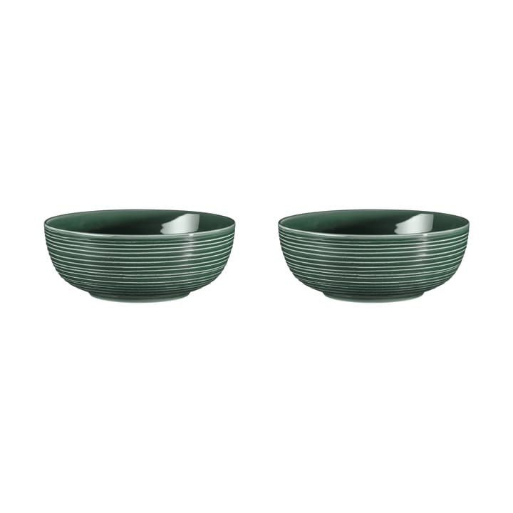 Terra skål Ø 20,4 cm 2-pakning - Moss Green - Seltmann Weiden