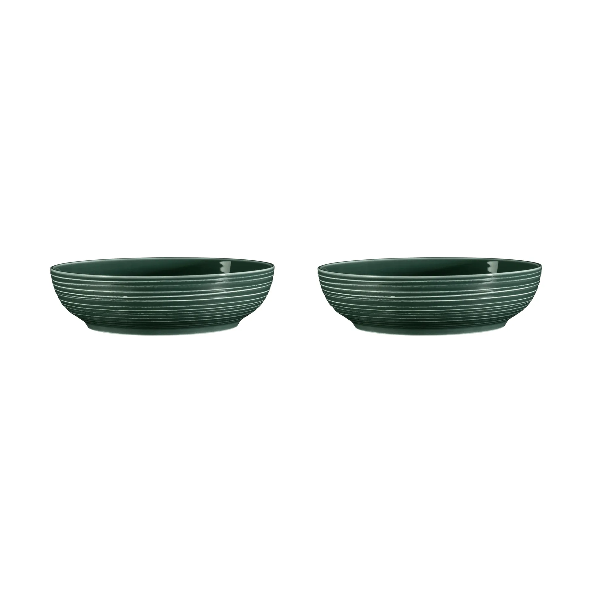 Terra skål Ø 25,5 cm 2-pakning, Moss Green Seltmann Weiden