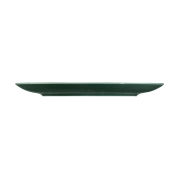 Terra tallerken Ø 22,7 cm 6-pakning - Moss Green - Seltmann Weiden