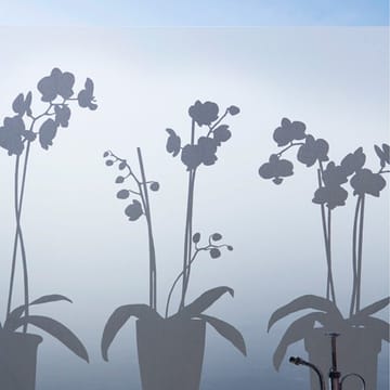 Orkidé vindusfolie - 34x98 cm - Siluett Frost