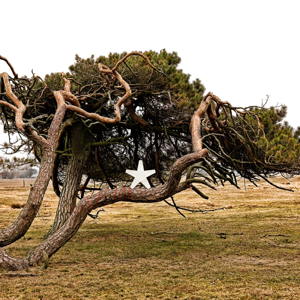 Advent Stjerne Adventsstjerne, rød, 40 cm, lysegrå tekstilledning SMD Design