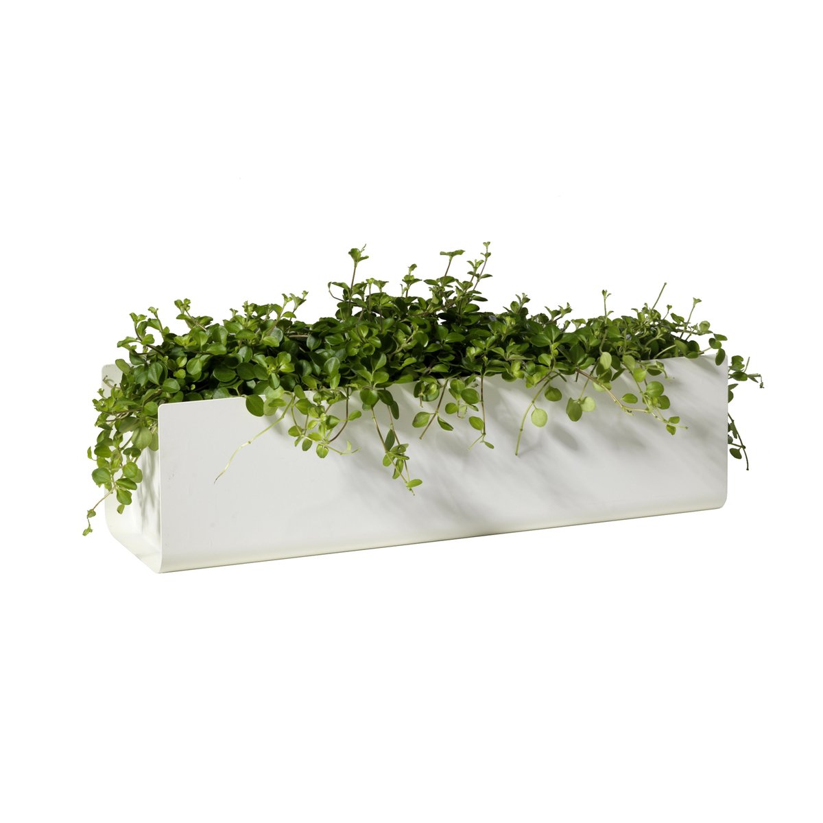 Bilde av SMD Design Jorda Balkongkasse Hvit 60 cm