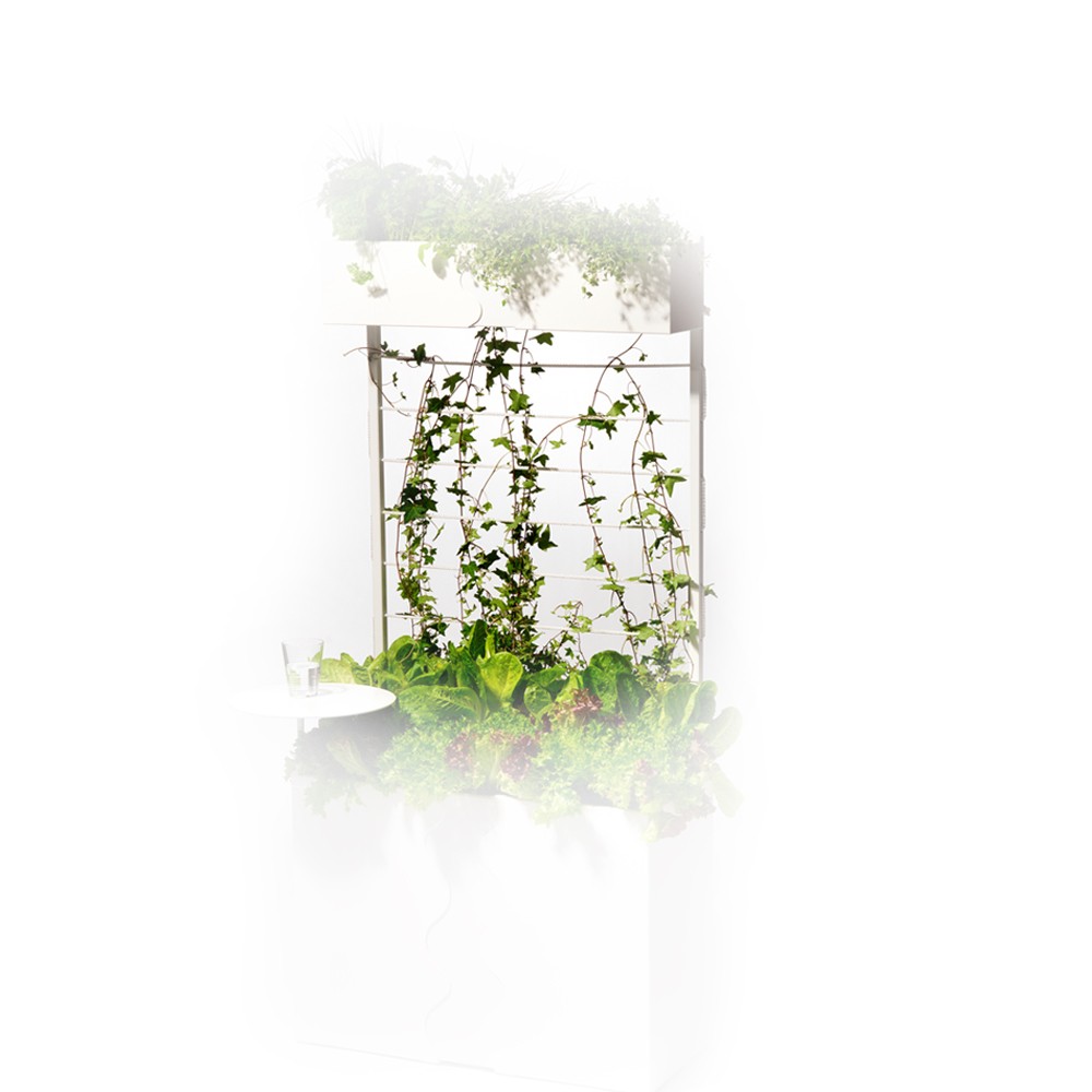 SMD Design Urban espalier Hvit