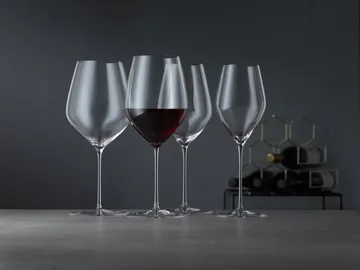 HI-LITE Universal vinglass 48 cl 2-pakning - Klar - Spiegelau