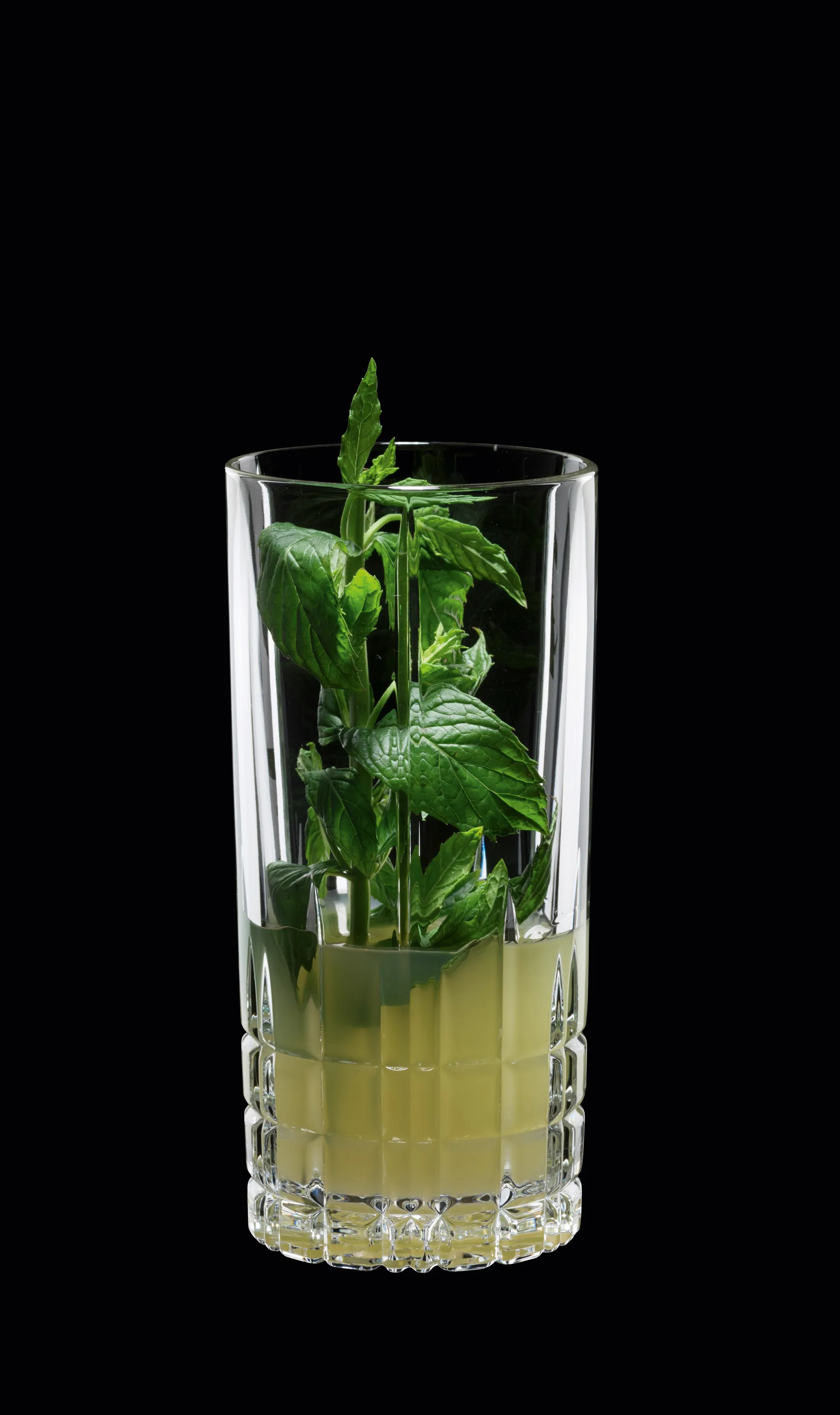 Perfect Serve Longdrinksglass 35cl , 4-stk., klar Spiegelau