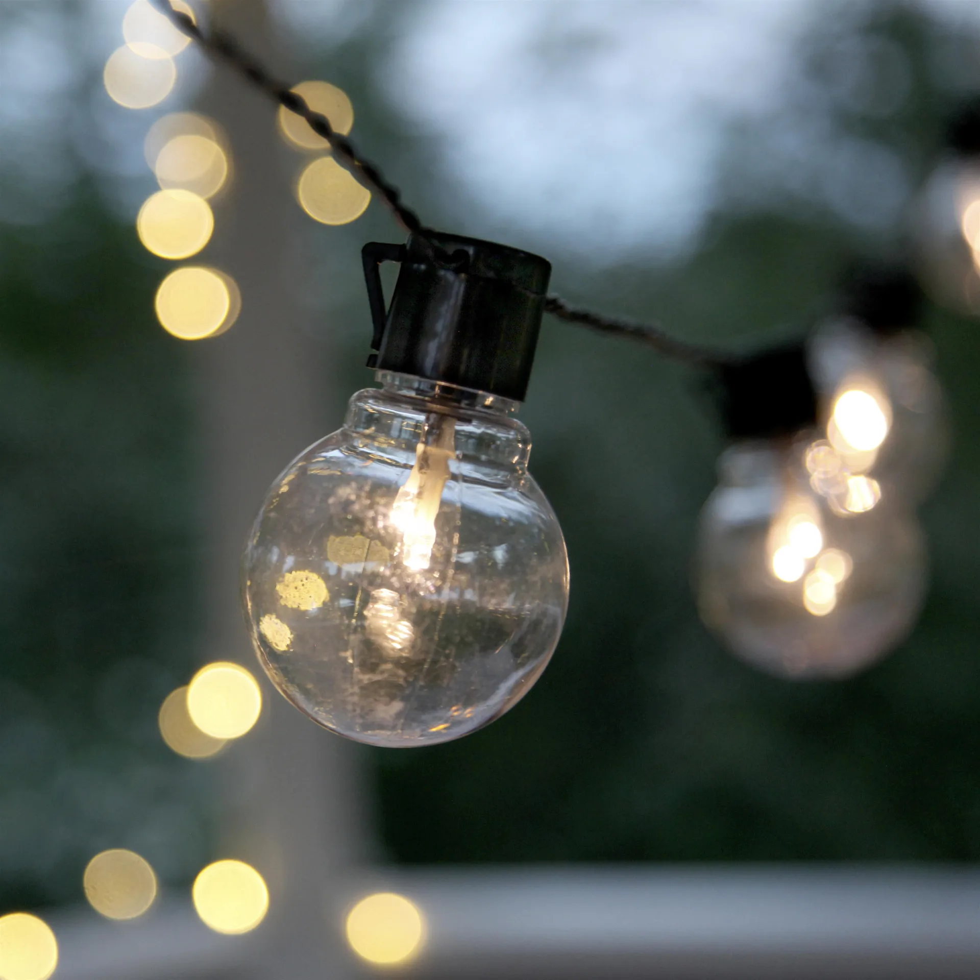 Partaj lyslenke, Svart Star Trading