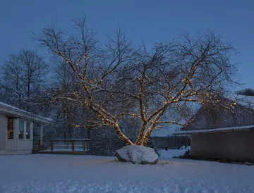 Star Trading system LED startkabel - 180 cm - Star Trading