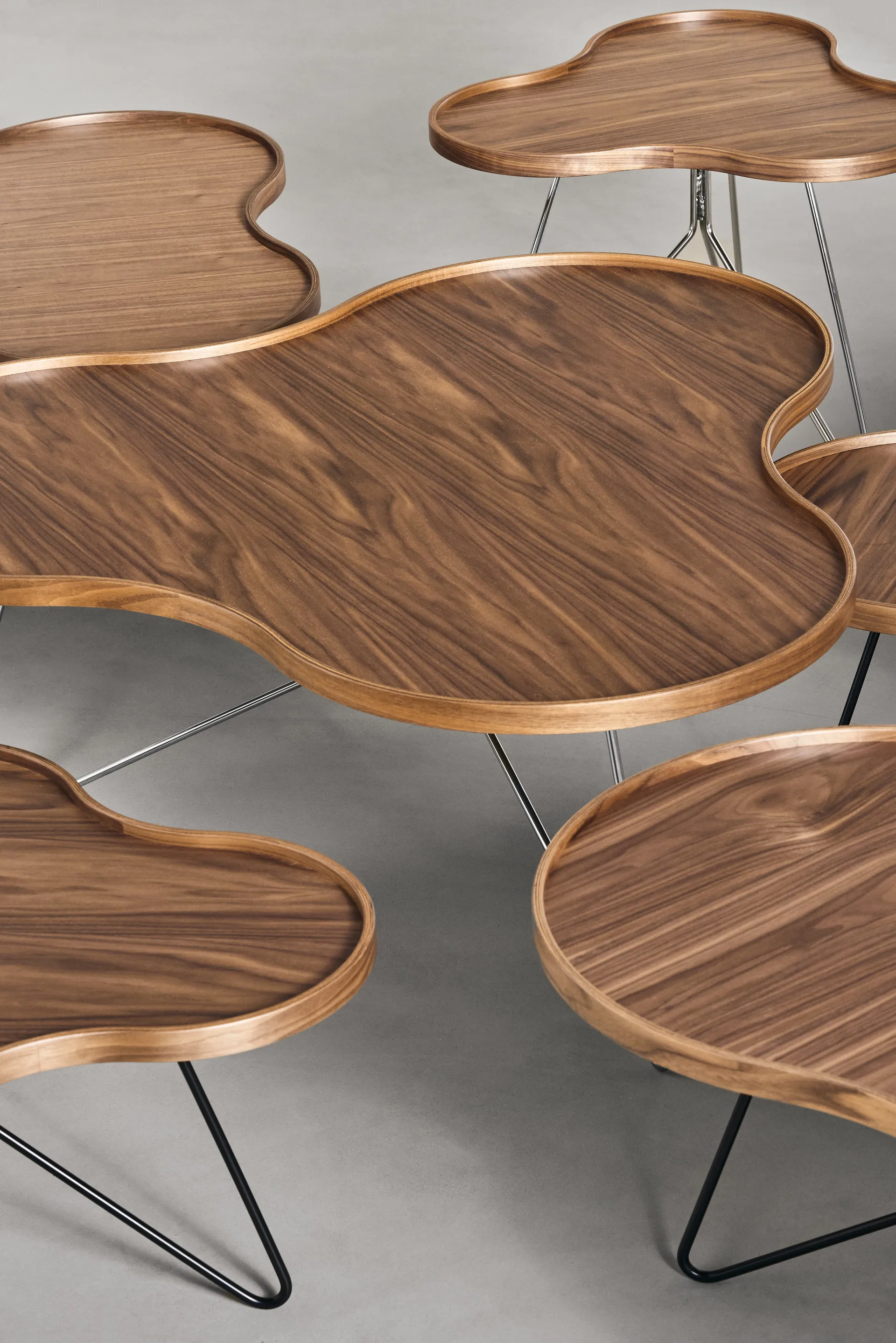 Flower mono bord Special Edition 107x114 cm, H45 cm-lakkert valnøtt-svartlakkert stål Swedese