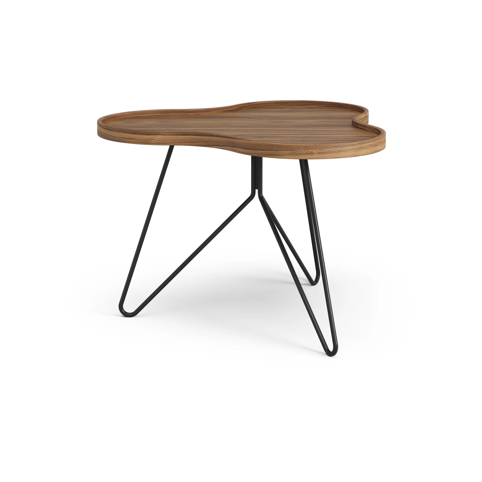 Flower mono bord Special Edition 62x66 cm, H45 cm-lakkert valnøtt-svartlakkert stål Swedese