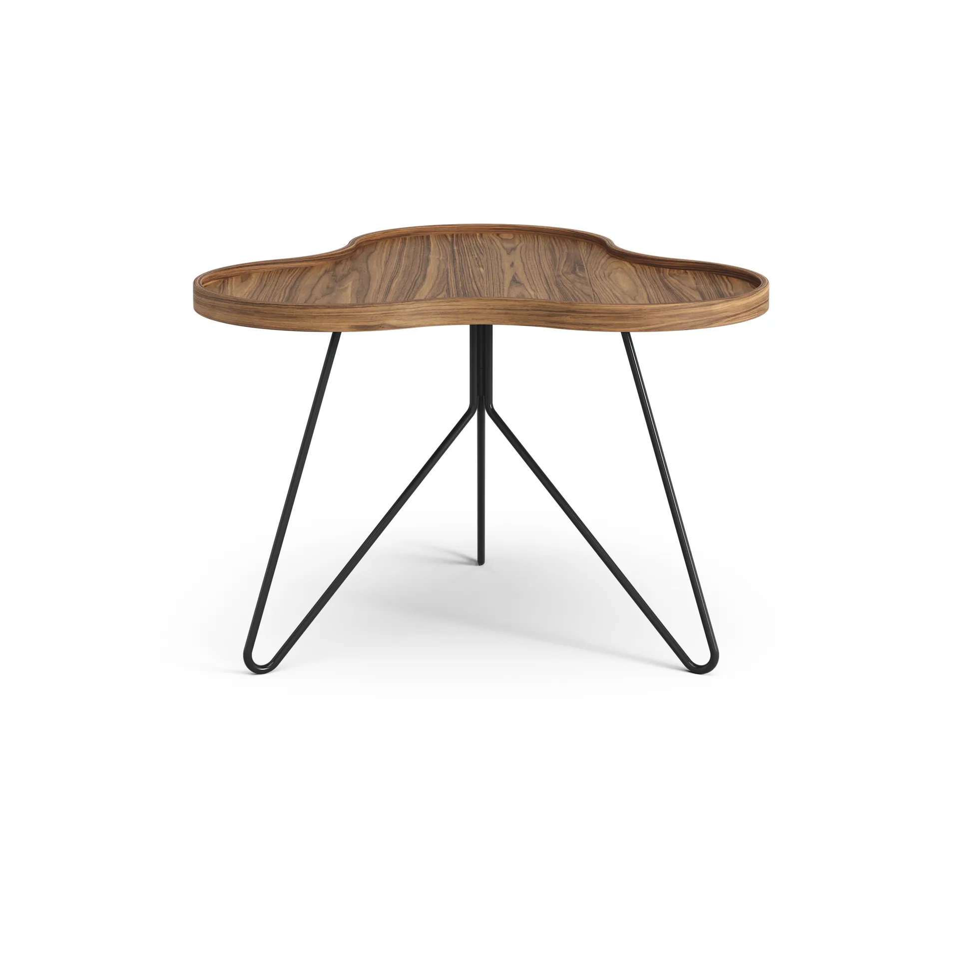 Flower mono bord Special Edition 62x66 cm, H45 cm-lakkert valnøtt-svartlakkert stål Swedese