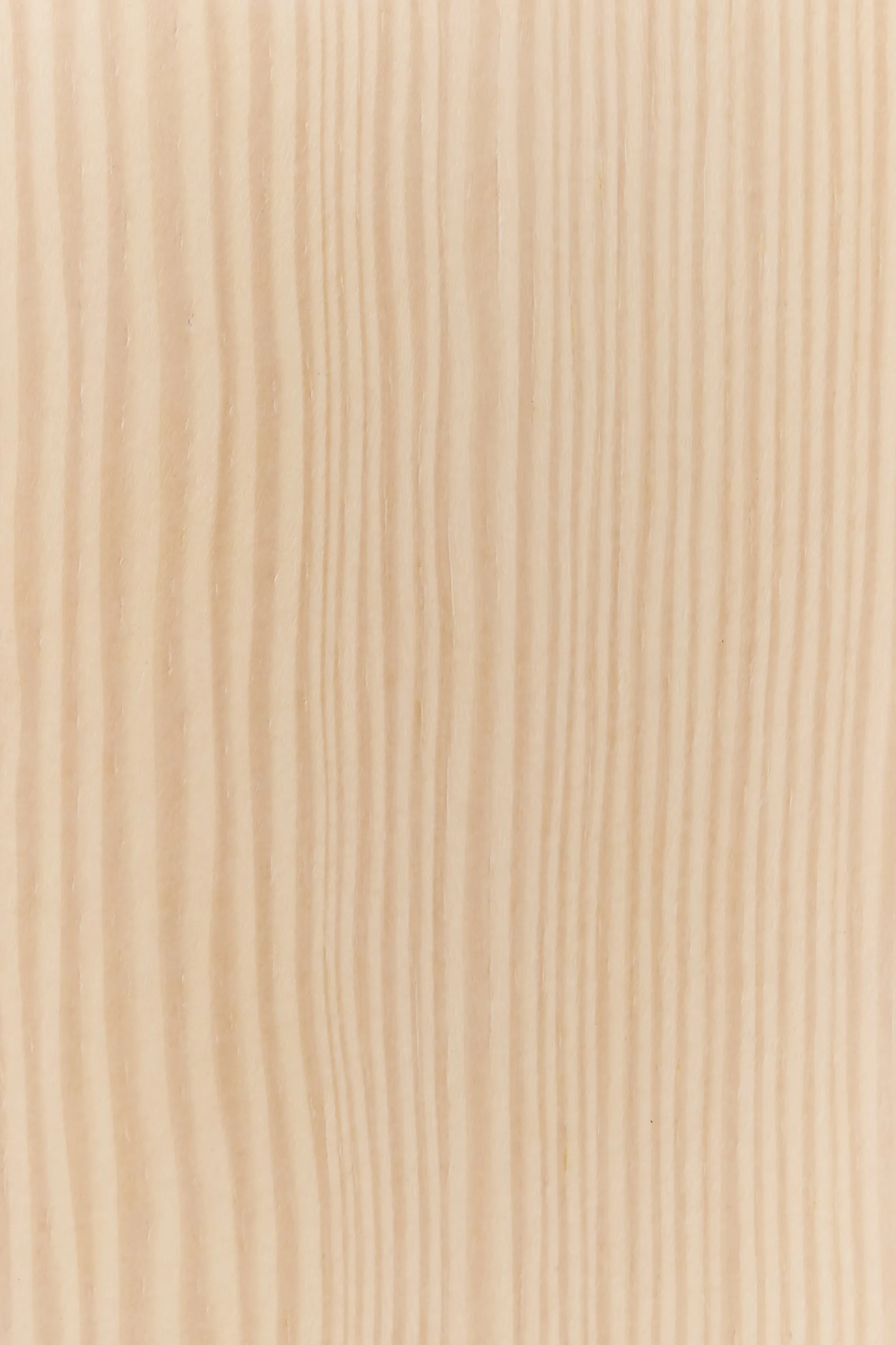 Tree wall veggmontert kleshengere Special Edition 194 cm, Hvitepigmentert furu Swedese