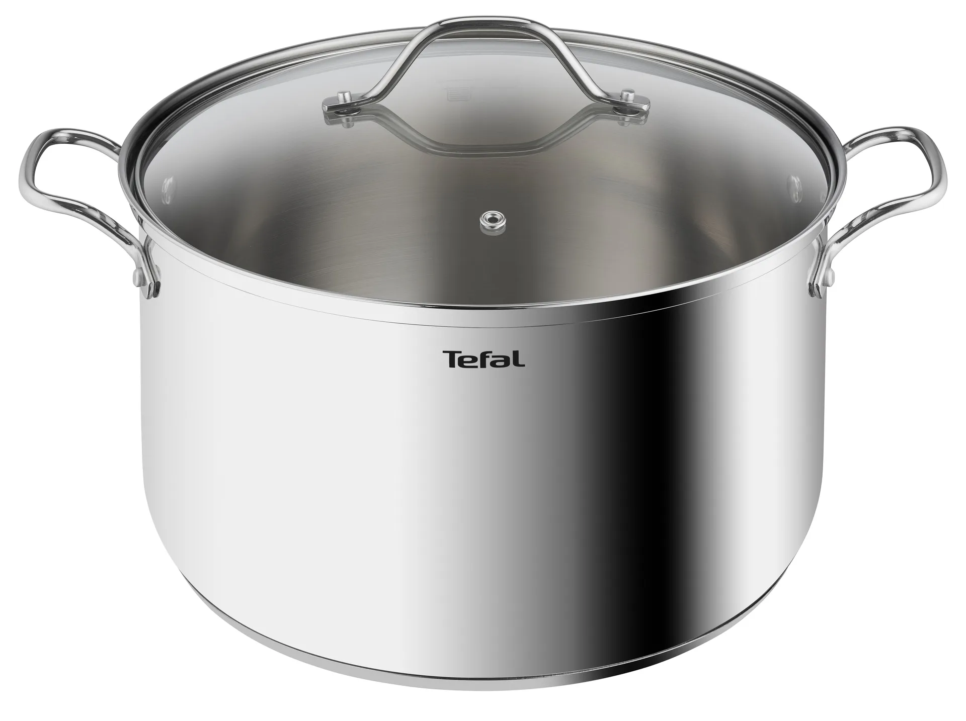 Intuition gryte 30 cm 10 l, Rustfritt stål Tefal