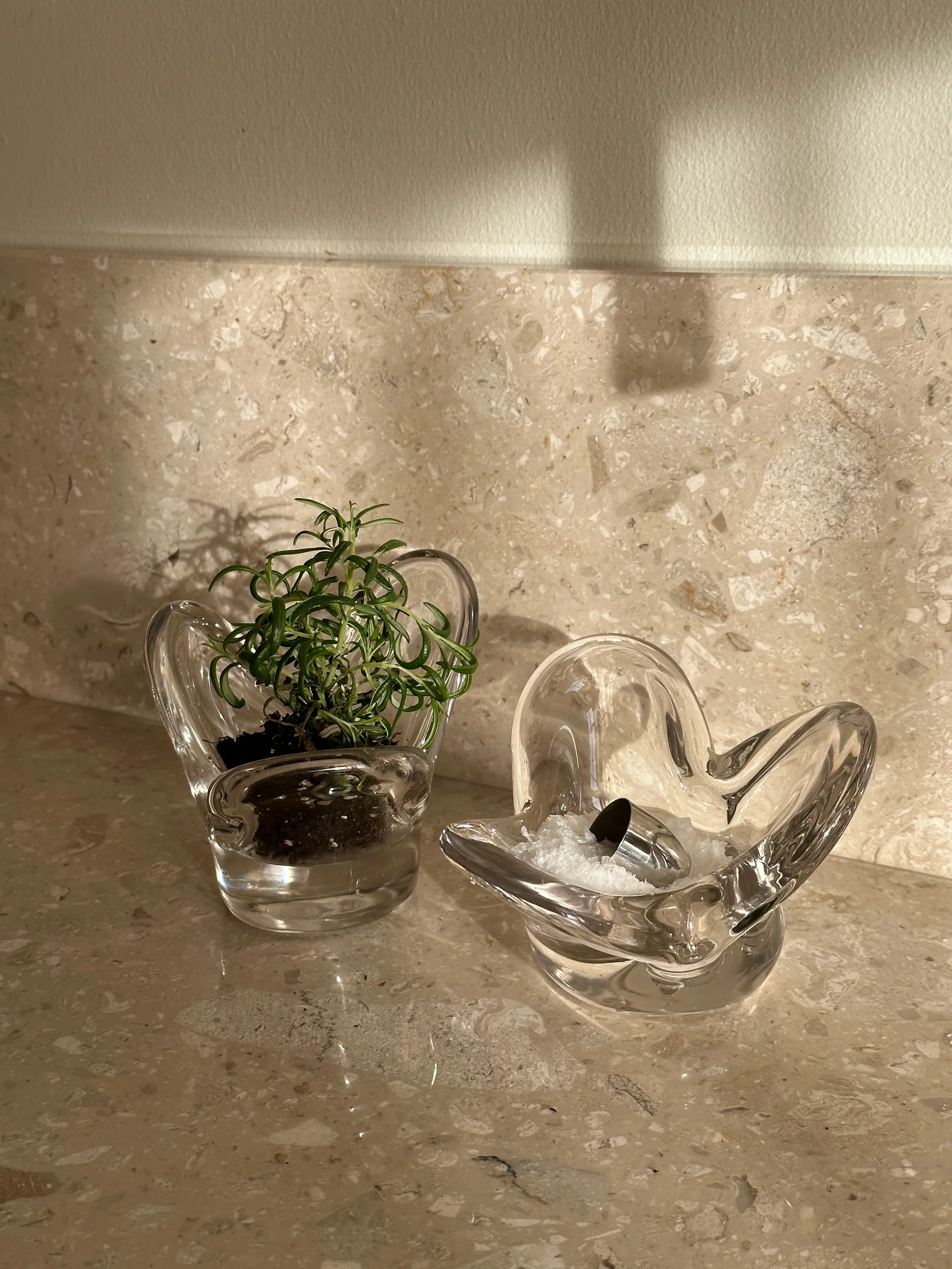 Visser lyslykt, Clear Tinted