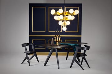 Slab spisebord 96x200 cm - Black oak - Tom Dixon
