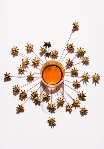 Tank whiskyglass 30 cl 2-pack - Clear-copper - Tom Dixon