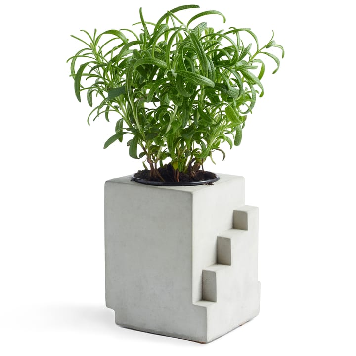 Max 1 betongkrukke, Grey Tove Adman