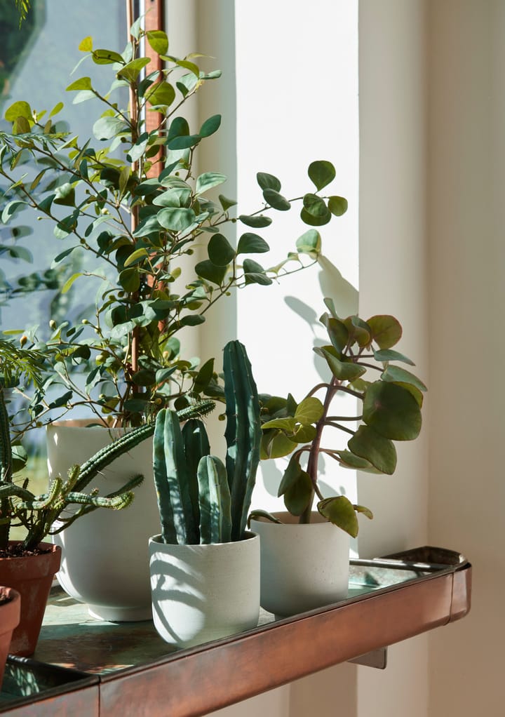 Collect SC69 krukke small Ø 12 cm, Milk &Tradition