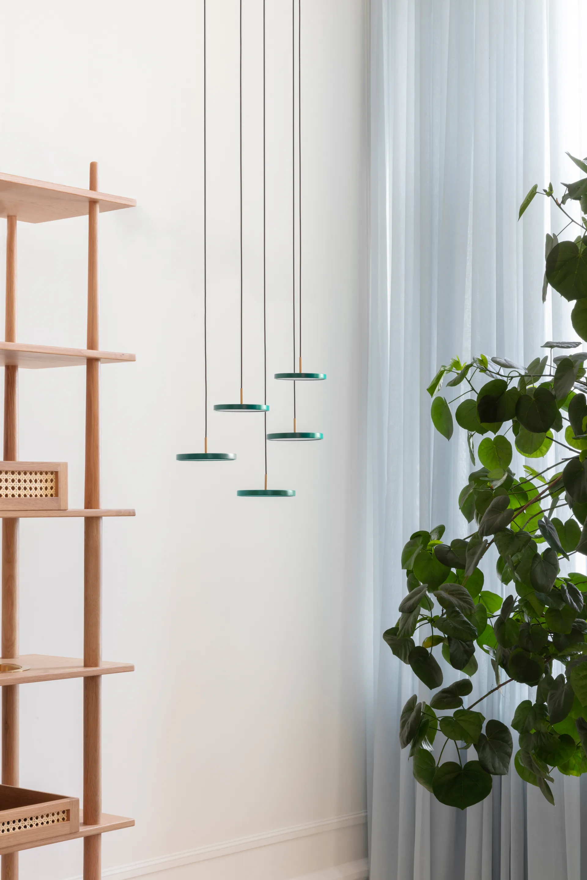 Asteria Micro taklampe, Forest Green Umage