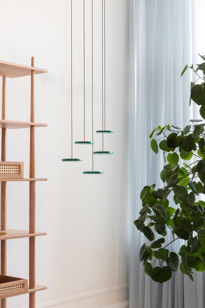Asteria Micro taklampe, Forest Green Umage