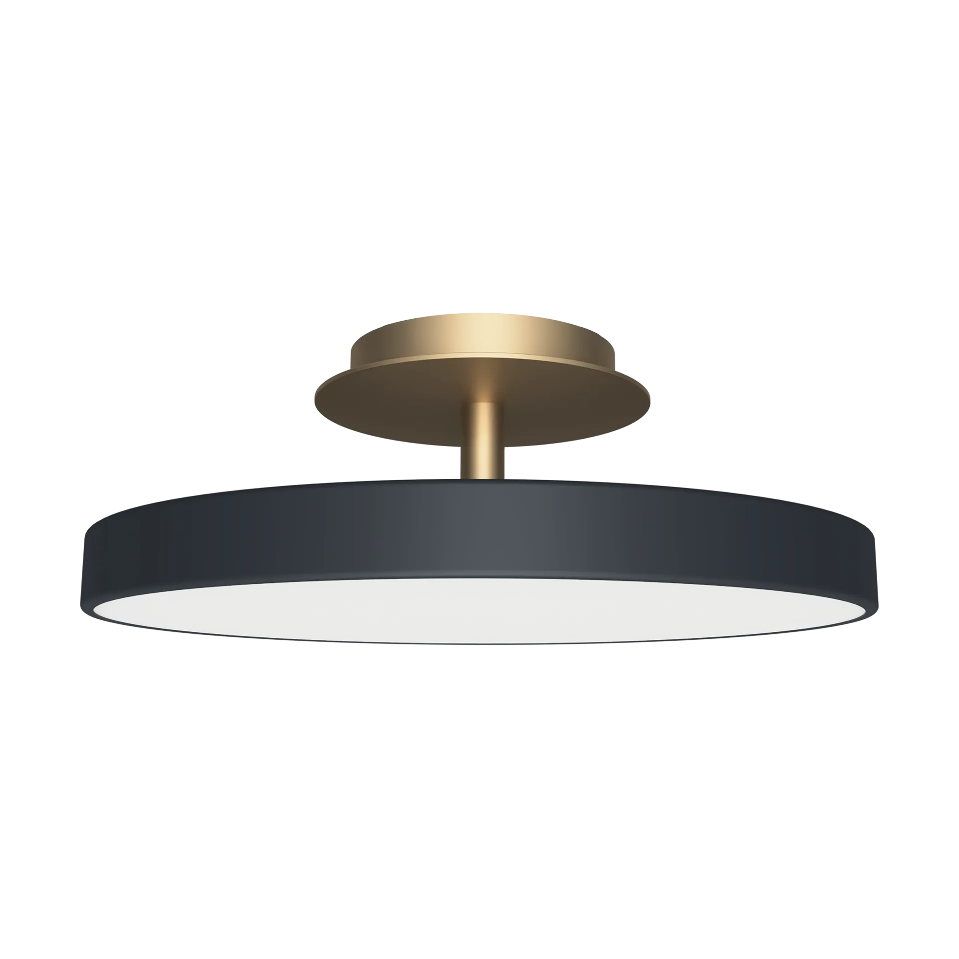 Asteria Up plus mini, Anthracite Umage