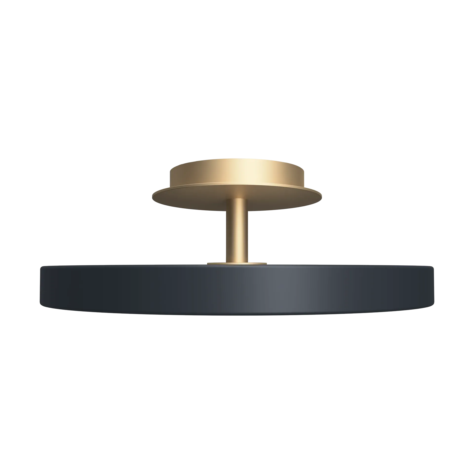 Asteria Up plus mini, Anthracite Umage