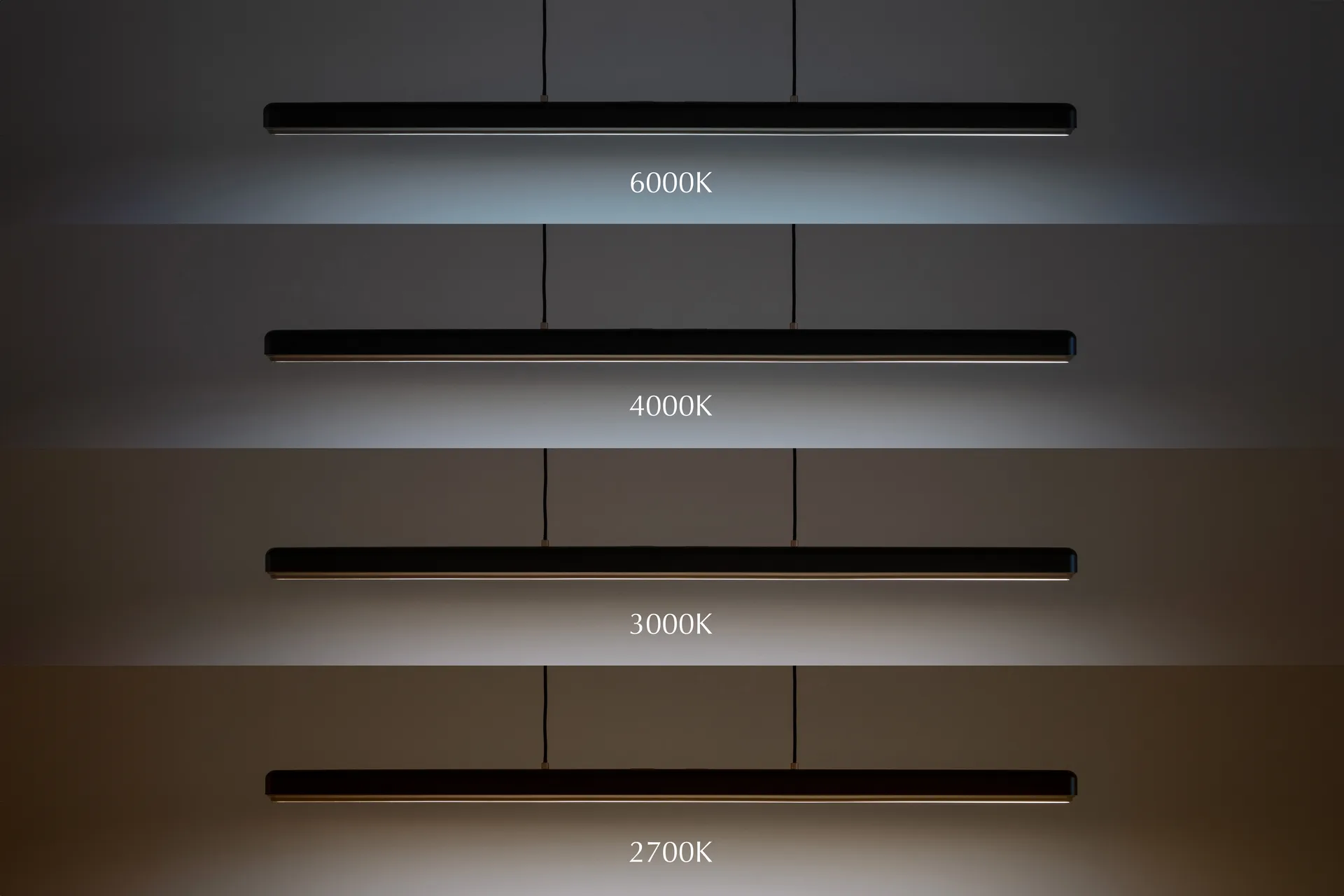 Hazel Branch 1,5m pendel, Black-brass Umage