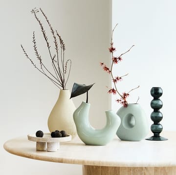 Pollini lysestake - Beetle - URBAN NATURE CULTURE