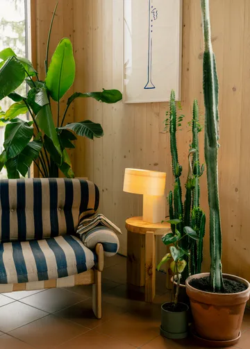 018 Hoop Table Lamp bordlampe - Matt oljevokset furu, 23 cm - Vaarnii