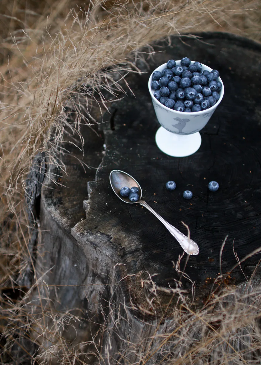 Alv dessertskål på fot Ø 11 cm, Sølv Wik & Walsøe